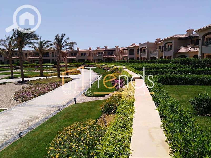 5 8f8d8143-82c2-4830-a939-c3c721677499. jpg