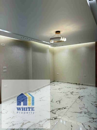 2 Bedroom Flat for Rent in Dokki, Giza - 1000591960. jpg