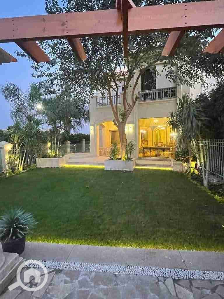 1000379370. jpg 1000379370. jpg