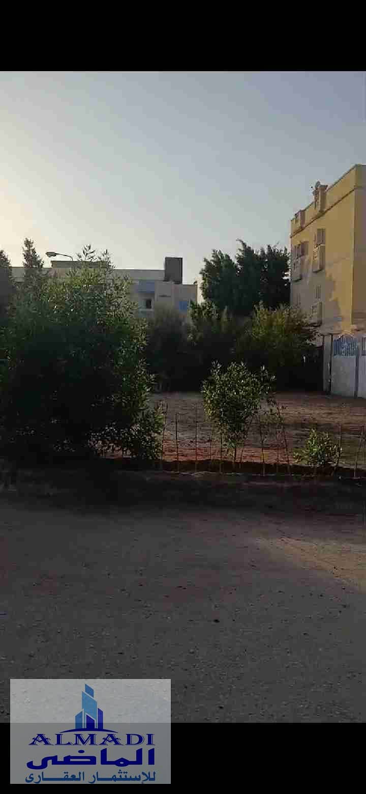 6 Screenshot_20251126_221615_com. huawei. himovie. overseas. jpg