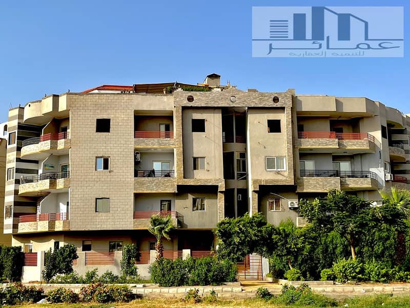 9 صورة واتساب بتاريخ 2025-07-30 في 17.23. 21_dcbedea2. jpg