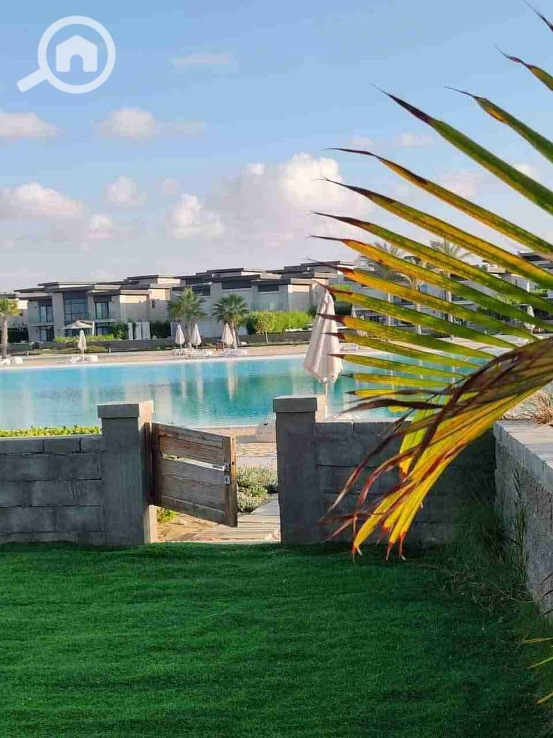 1000369743. jpg 1000369743. jpg