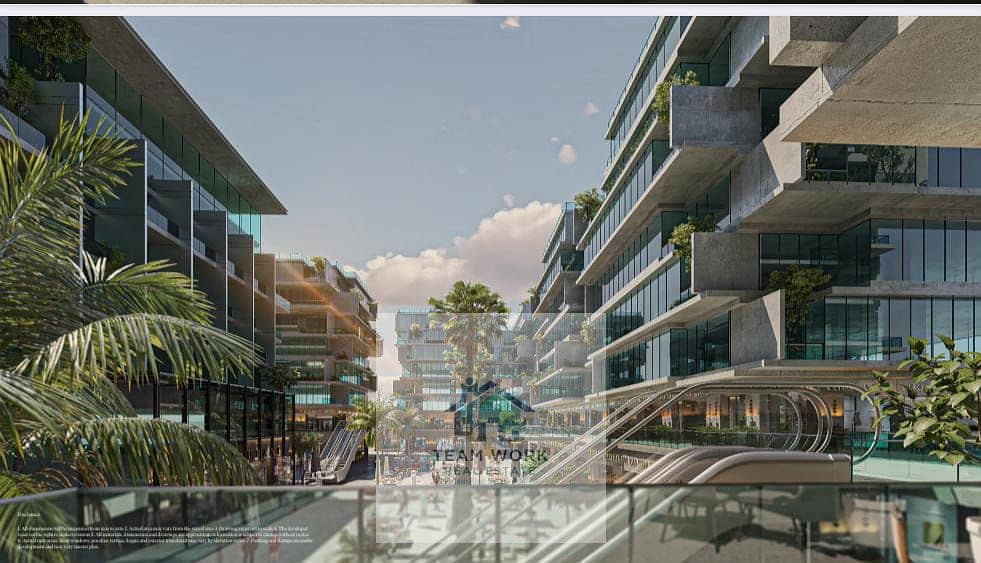 7 55fa71e1-577f-489a-aa9e-e7c0d1edb0a8. jpg