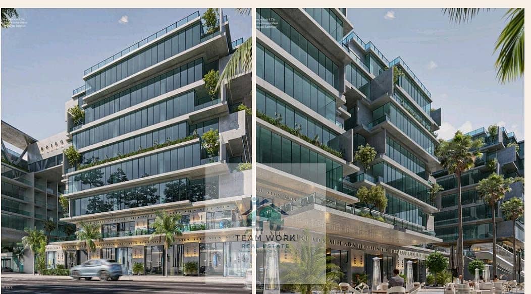 10 bd502cb1-f564-4563-b3f3-9a8597c9ddf5. jpg