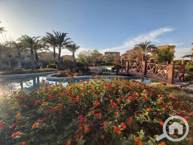 4 FB_IMG_1763769972684. jpg