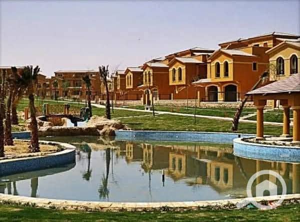 5 FB_IMG_1763769942677. jpg