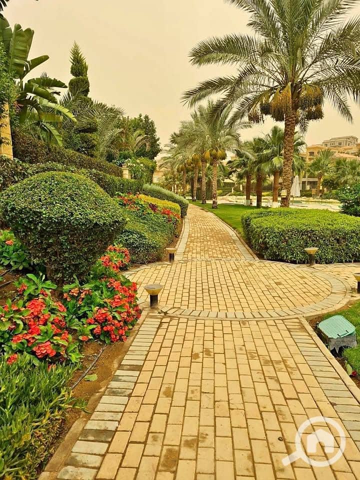 8 584514667_886672983716661_3278845310456520479_n. jpg