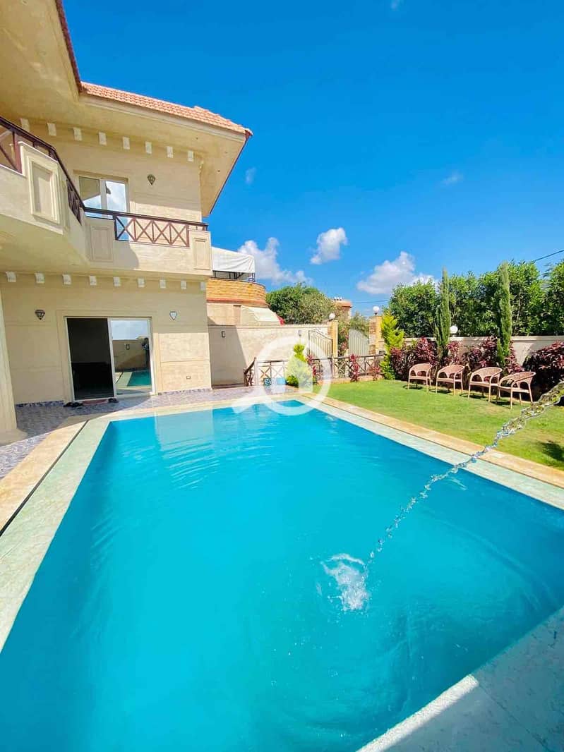 4 afbb5432-7004-436f-b5a8-045b20bcb529. jpg