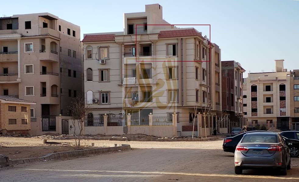 IMG-20250217-1WA0139. jpg