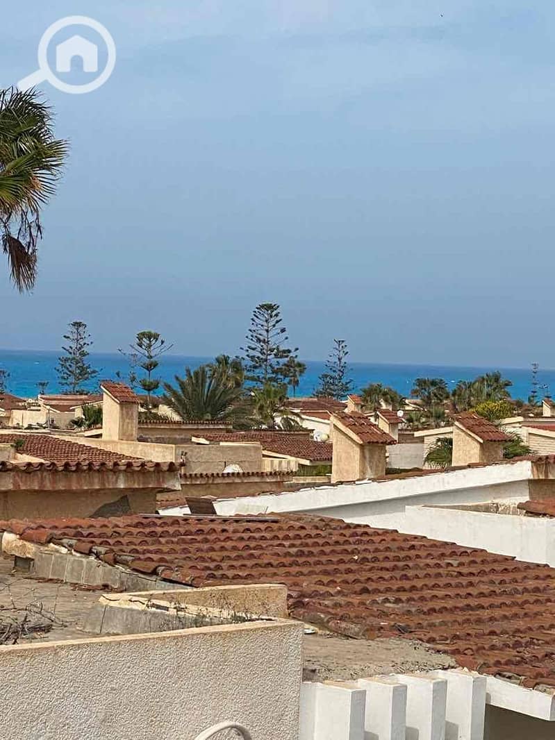 15 316ea62f-478d-4e61-a2ee-72d91fa39be0. jpg