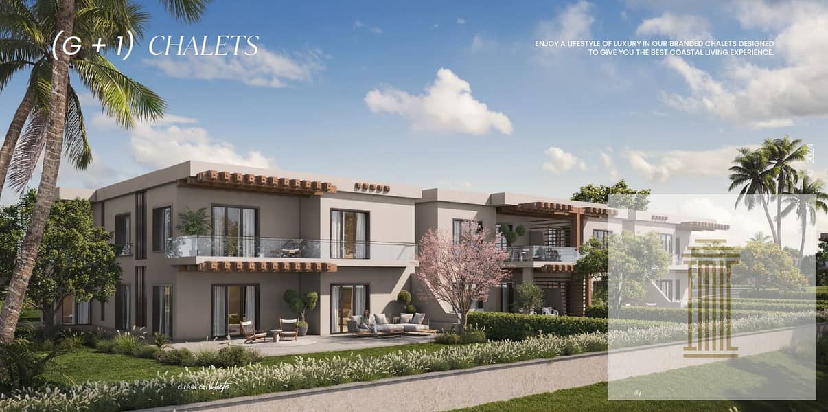 4 Screenshot 2025-08-07 033655. png