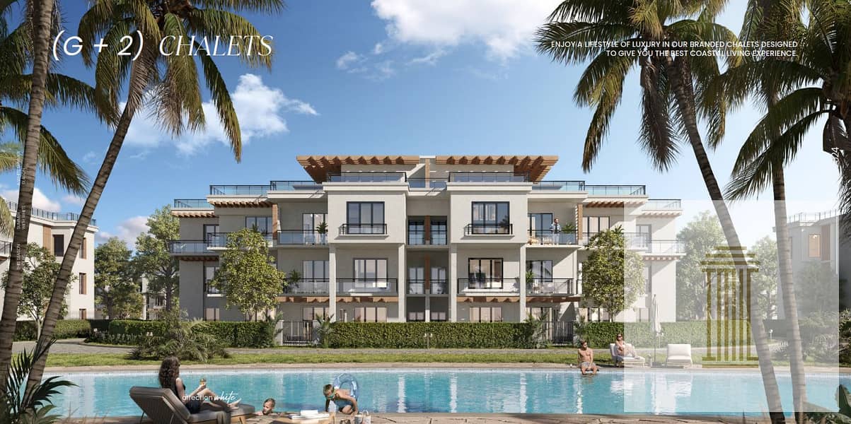 17 Screenshot 2025-08-07 033724. png