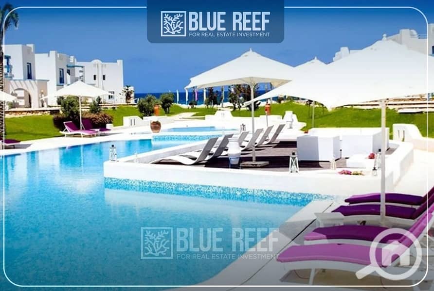 3 WhatsApp Image 2025-07-14 at 6.25. 00 PM (2). jpeg