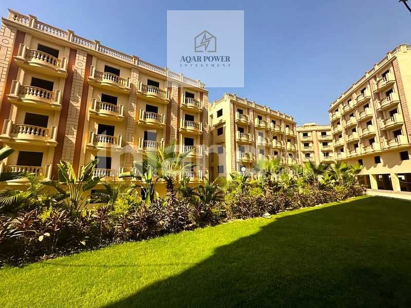 8 42e0106c-884a-4646-b4fe-202309ca23bc_800x600. jpeg