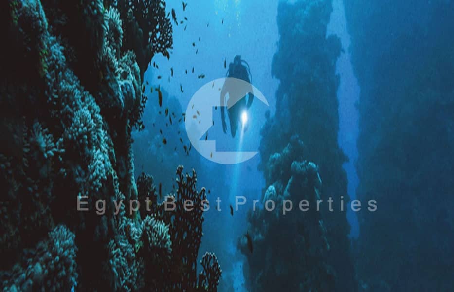 18 Screenshot 2025-08-03 120932. png