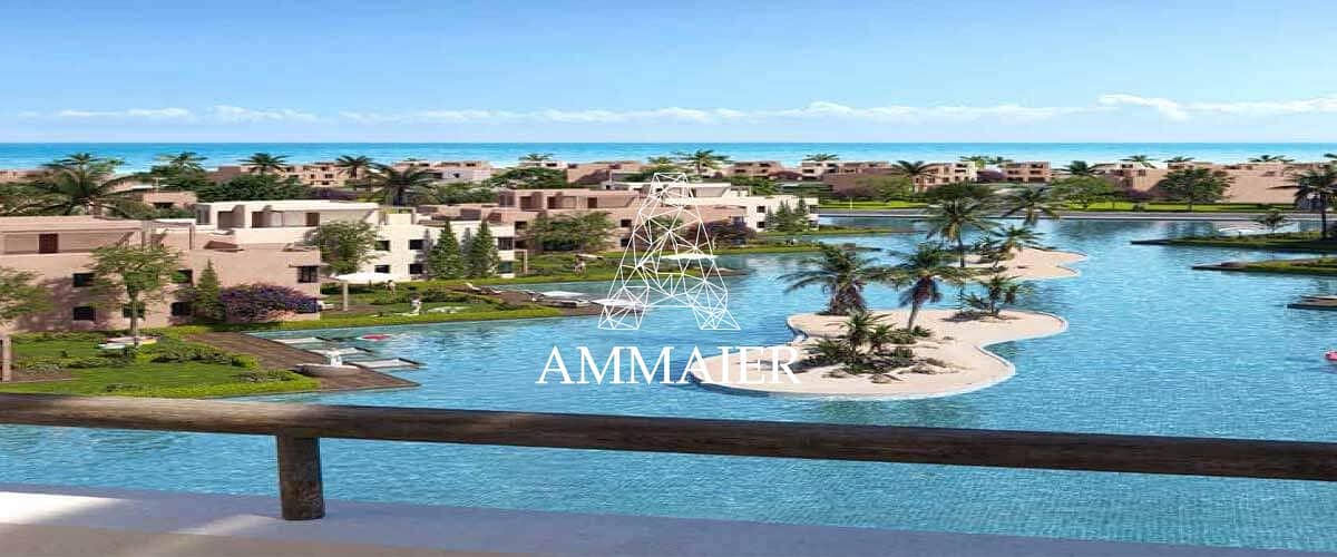 5 49966927-f6e7-46c0-a579-08a56b5bbfc5 (1). jpg