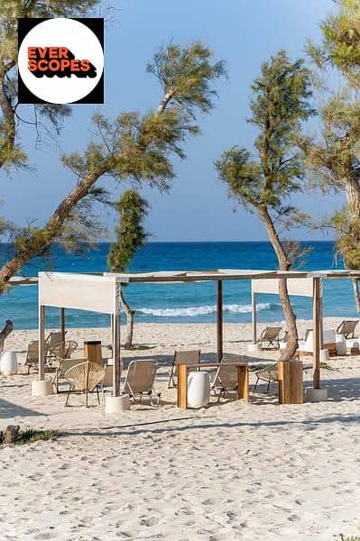 13 539917281_638434522645850_5005236624237216735_n. jpg