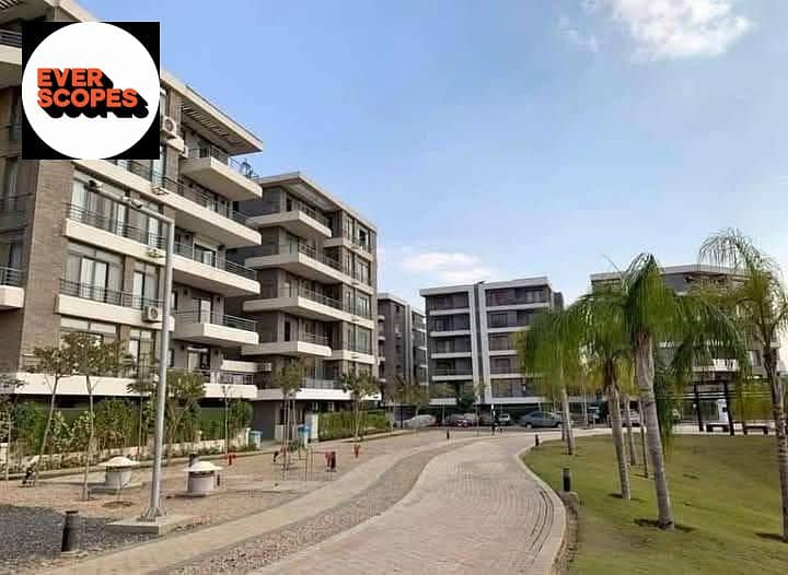 11 553239156_1336582901326828_881749788099194417_n. jpg