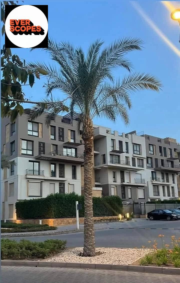 546860815_122156159996782987_1467054621376782063_n. jpg