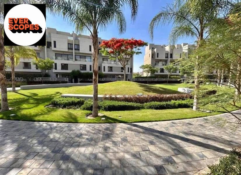 5 558802219_10234310953209580_192027729593224301_n. jpg