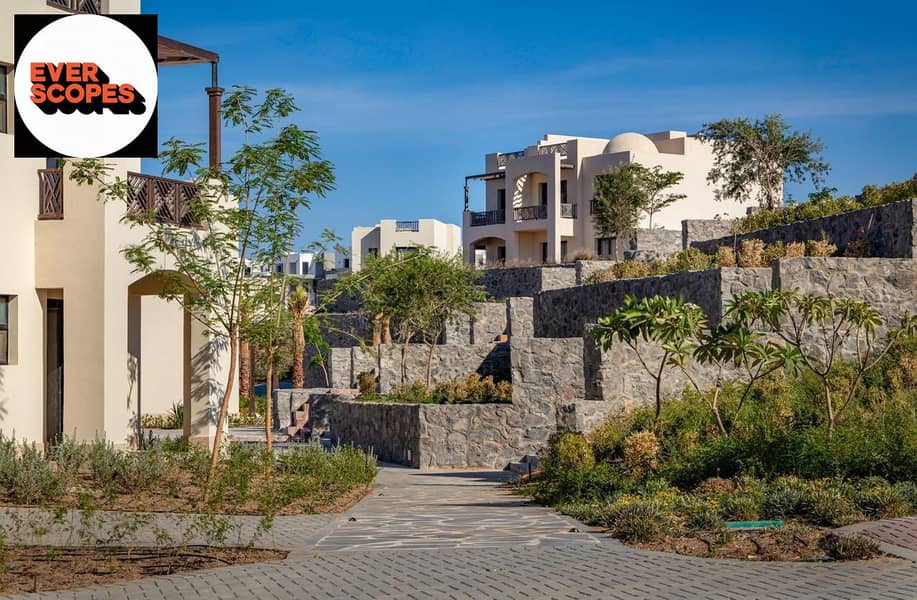 7 557636005_122159065166724134_49322075283452686_n. jpg