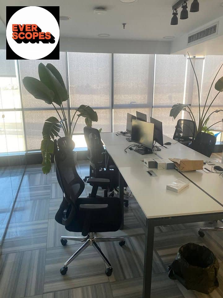 6 574572330_1181107780616722_5725388360769495413_n. jpg