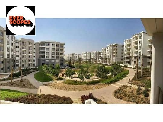 11 c77d45a8-fcaa-4755-80fe-8f65f2709536. png