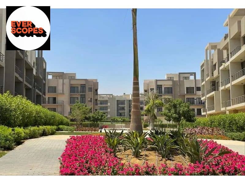 10 6575169-b980ao. jpg