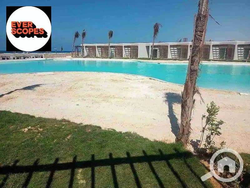 2 31147616-800x600. jpg