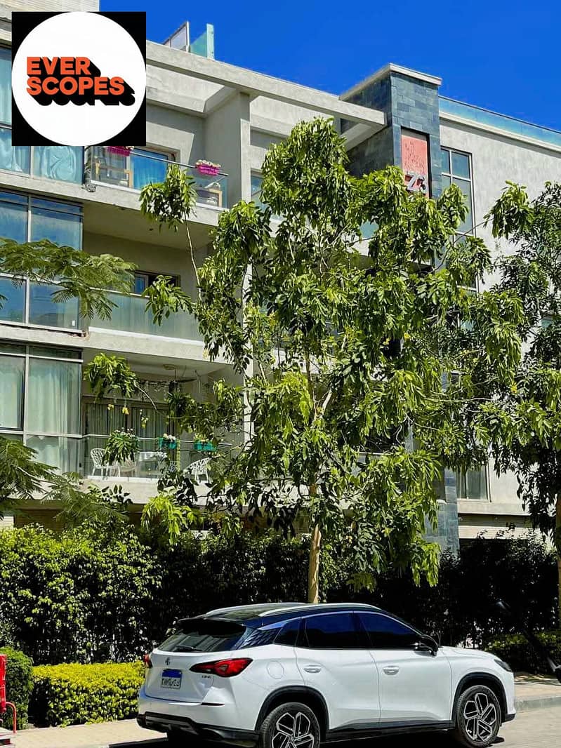 11 539307792_122181420596454983_2645772438262711992_n. jpg