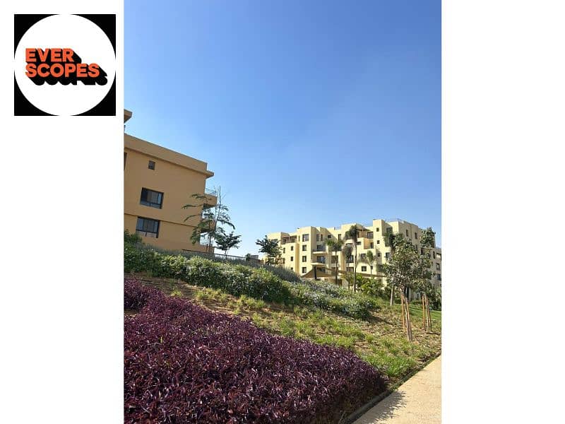 14 557738589_4114944725429689_2599368503087339140_n. jpg