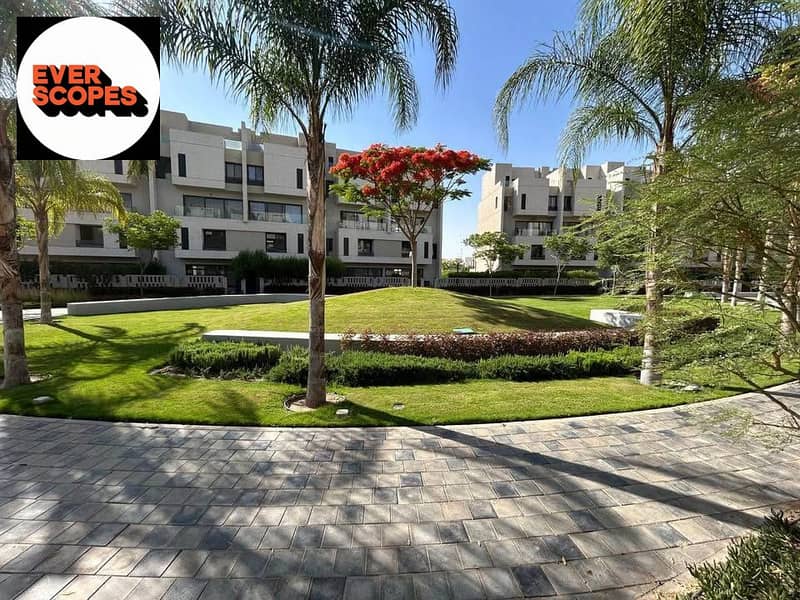 12 488278586_122166585350301231_5651024349914901241_n. jpg