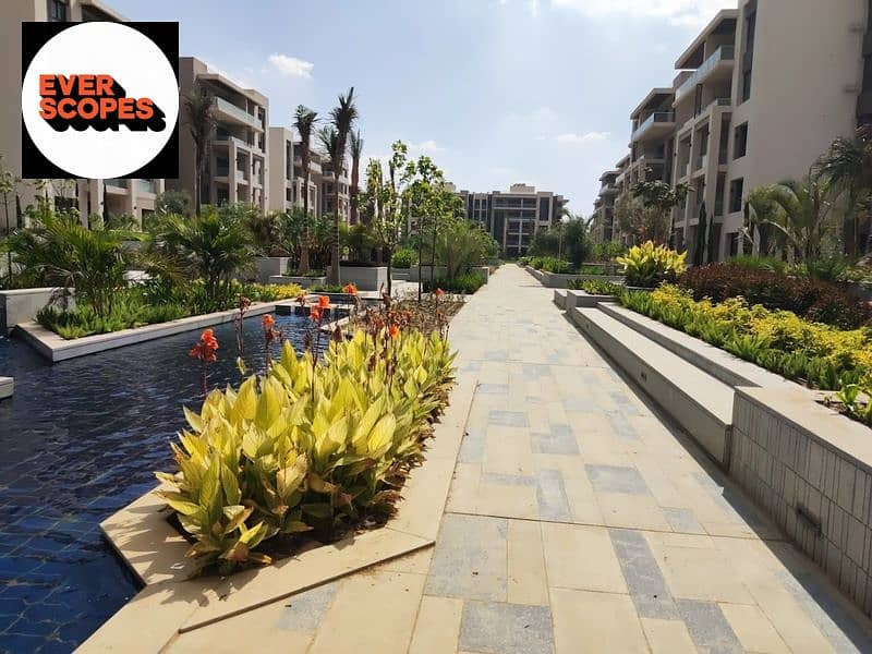 6 2023-07-12 (1). jpg