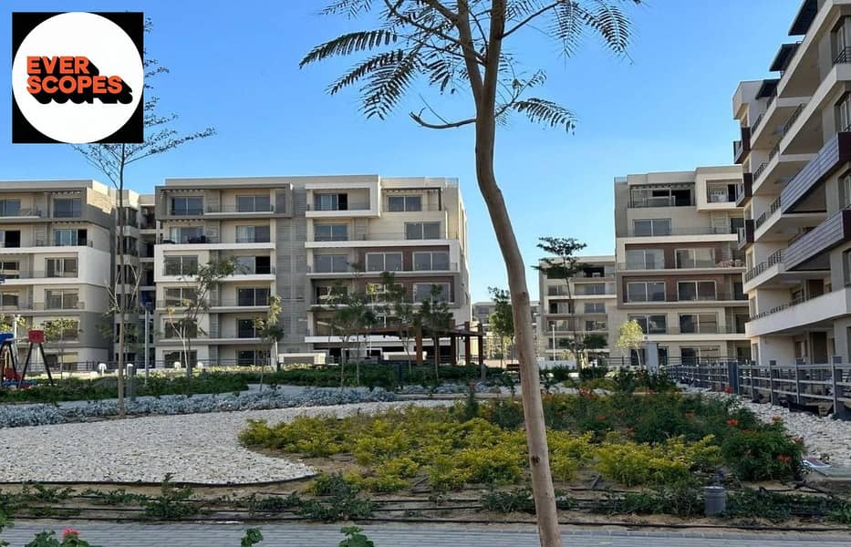 5 447889251_2535704566576457_7434083275577372958_n. jpg