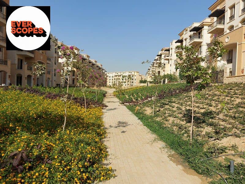 11 244521861_391345082693279_6857266022409871508_n. jpg