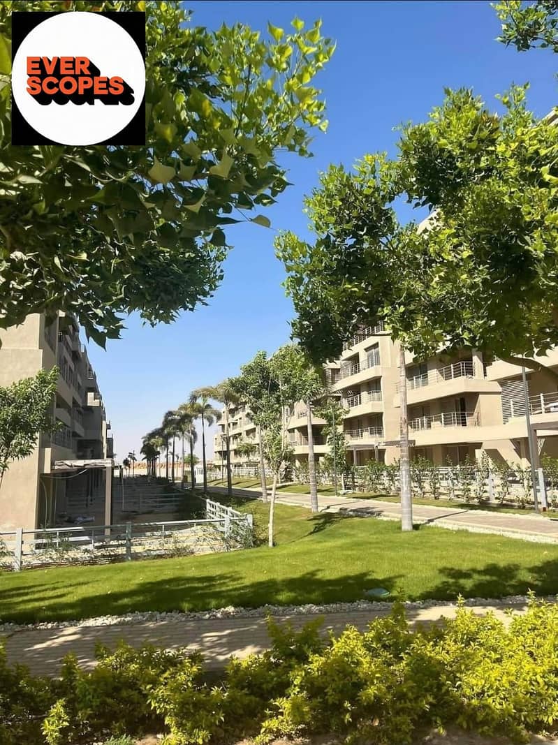 8 WhatsApp Image 2025-10-14 at 12.50. 03 PM. jpeg