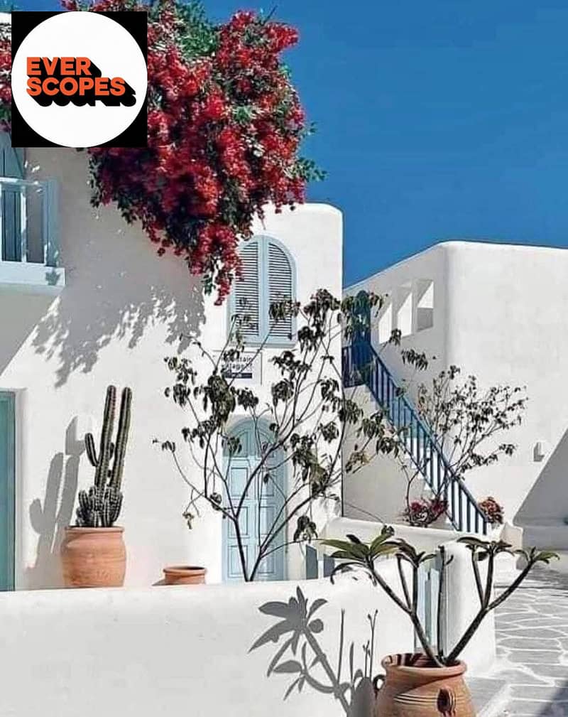 c95ce433-9ece-42fe-b8ba-a1ae73a4867c. jpg c95ce433-9ece-42fe-b8ba-a1ae73a4867c. jpg