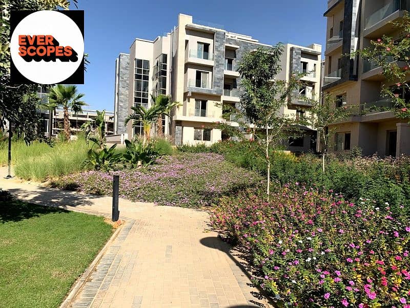 8 2020-02-07 (1). jpg