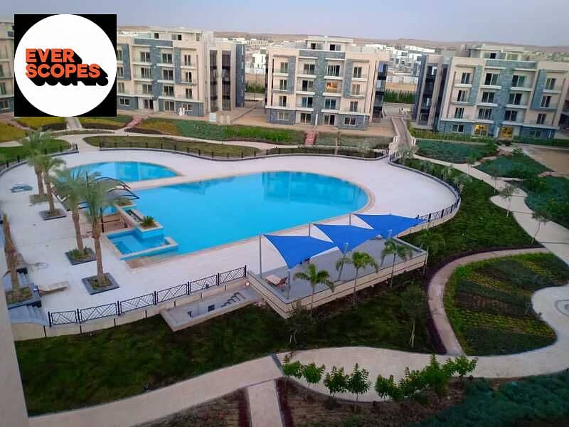 6 2019-01-13 (3). jpg