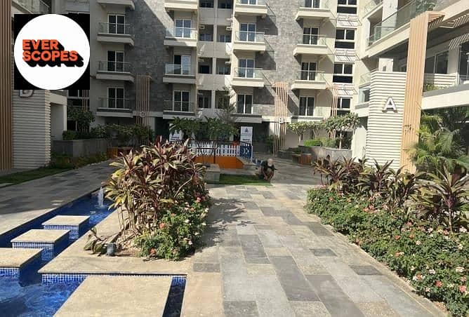 10 3844321-4f448o. jpg