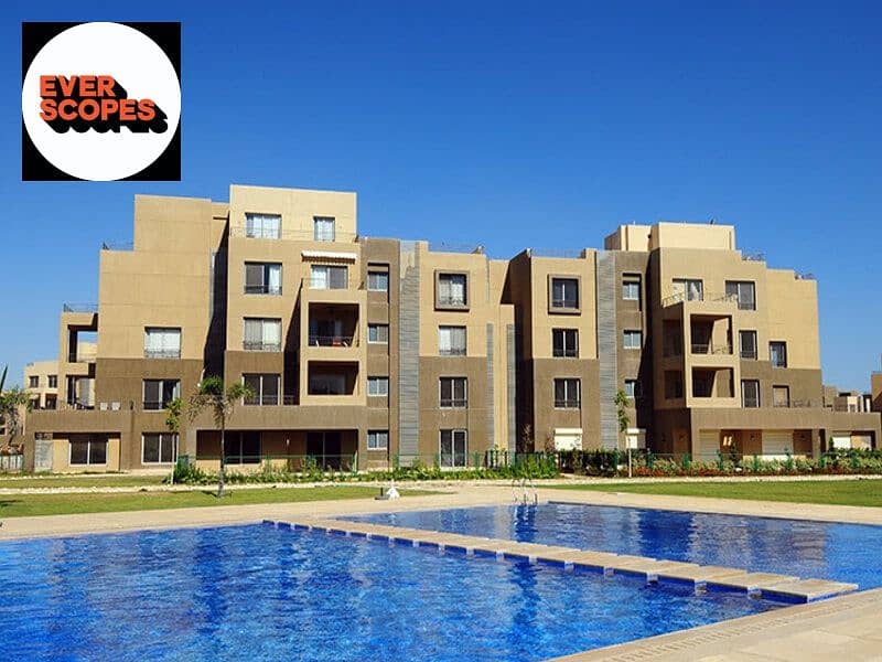 10 بالم-باركس-من-بالم-هيلز. jpg