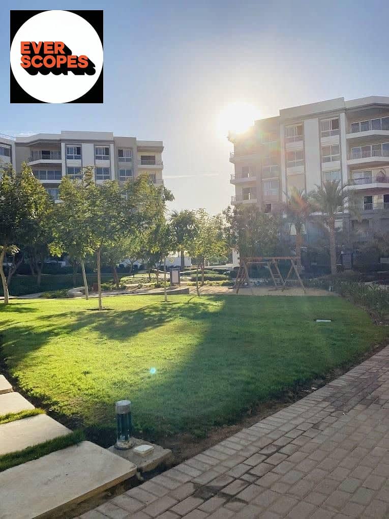 3 WhatsApp Image 2025-11-08 at 09.31. 34_970dddbf. jpg