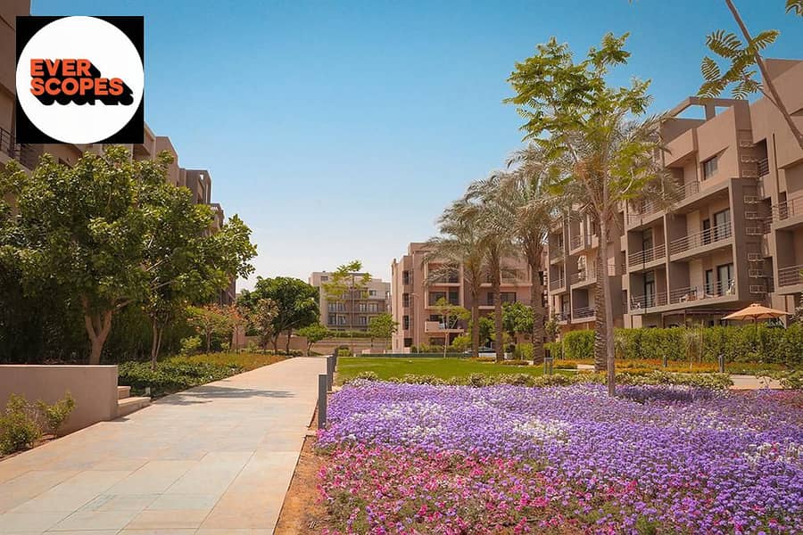 7 WhatsApp Image 2025-11-08 at 09.36. 35_baddb616. jpg