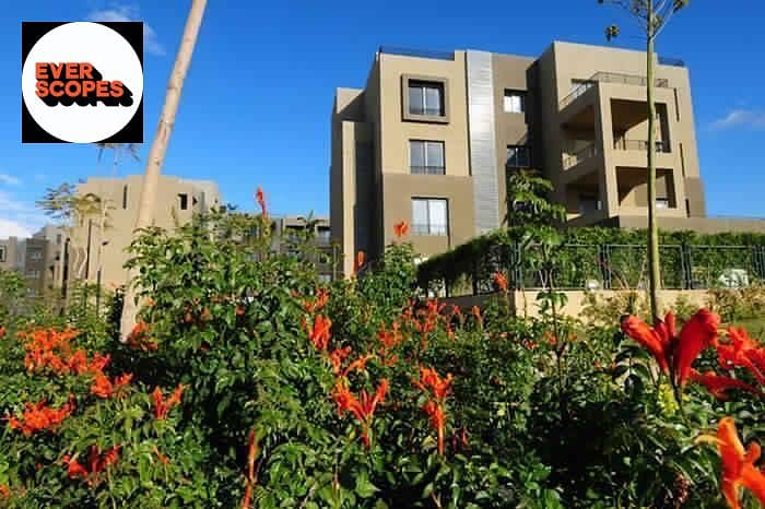 13 WhatsApp Image 2025-11-09 at 06.46. 57_fa67a628. jpg