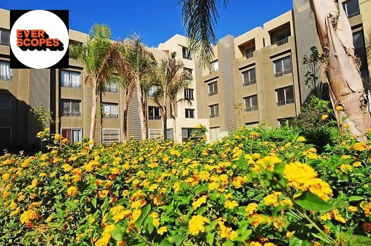 10 WhatsApp Image 2025-11-09 at 06.46. 57_315c8631. jpg