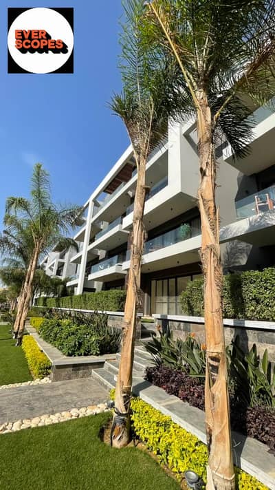 3 Bedroom Penthouse for Sale in New Cairo, Cairo - WhatsApp Image 2025-11-18 at 12.30. 49 PM. jpeg 3 Bedroom Penthouse for Sale in New Cairo, Cairo - WhatsApp Image 2025-11-18 at 12.30. 49 PM. jpeg