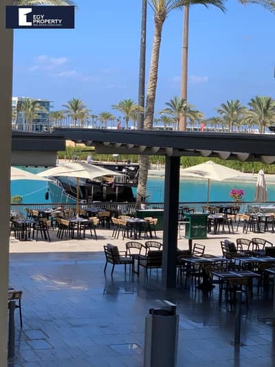 2 Bedroom Chalet for Sale in North Coast, Matruh - WhatsApp Image 2025-11-27 at 12.14. 19 PM. jpeg