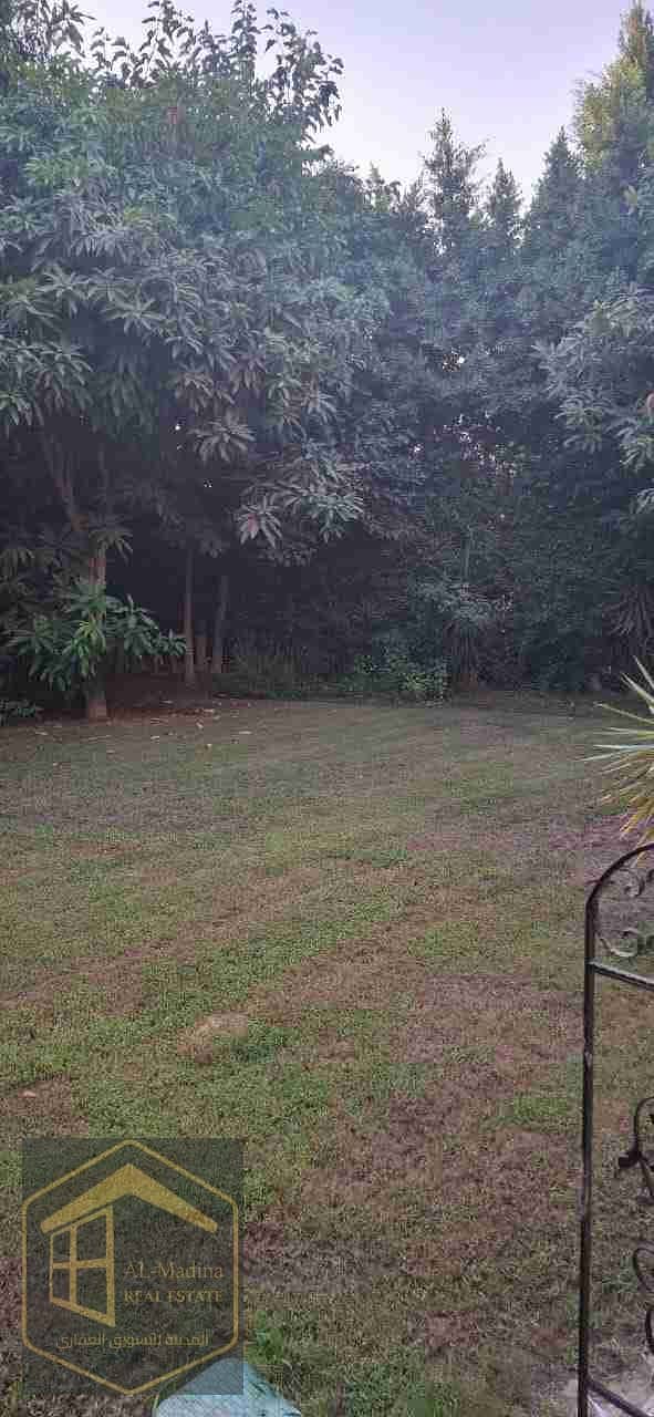 9 IMG-20241113-WA0006. jpg