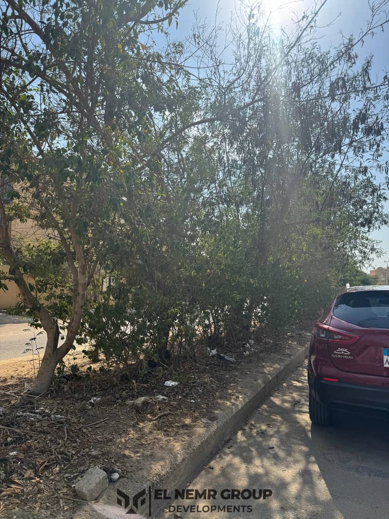 2 5571aa4a-1459-47a0-b85f-8a615db3b644. jpg