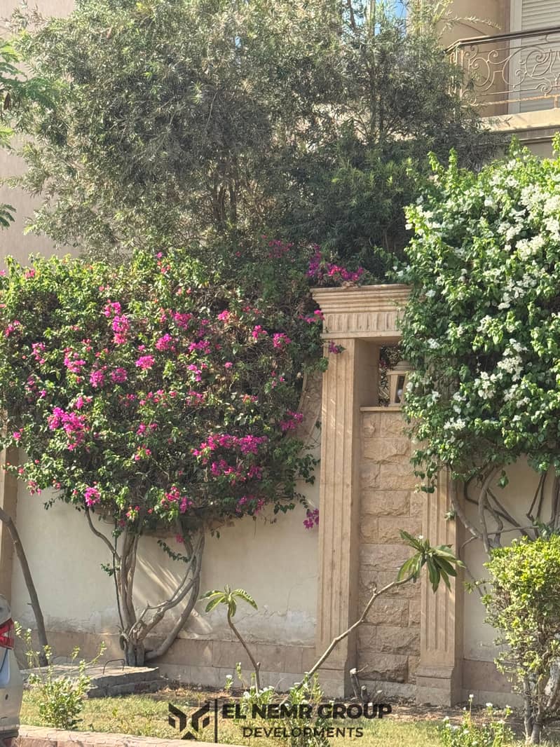 4 44d2ab2d-1ce7-462d-a731-22831549a5ed. jpg